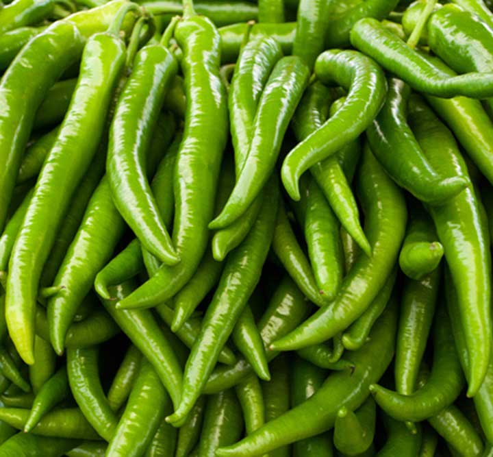 green-chilies-hybrid-seeds-greenworks-Pakistan
