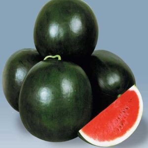 greenworks-watermelons-seeds-Pakistan